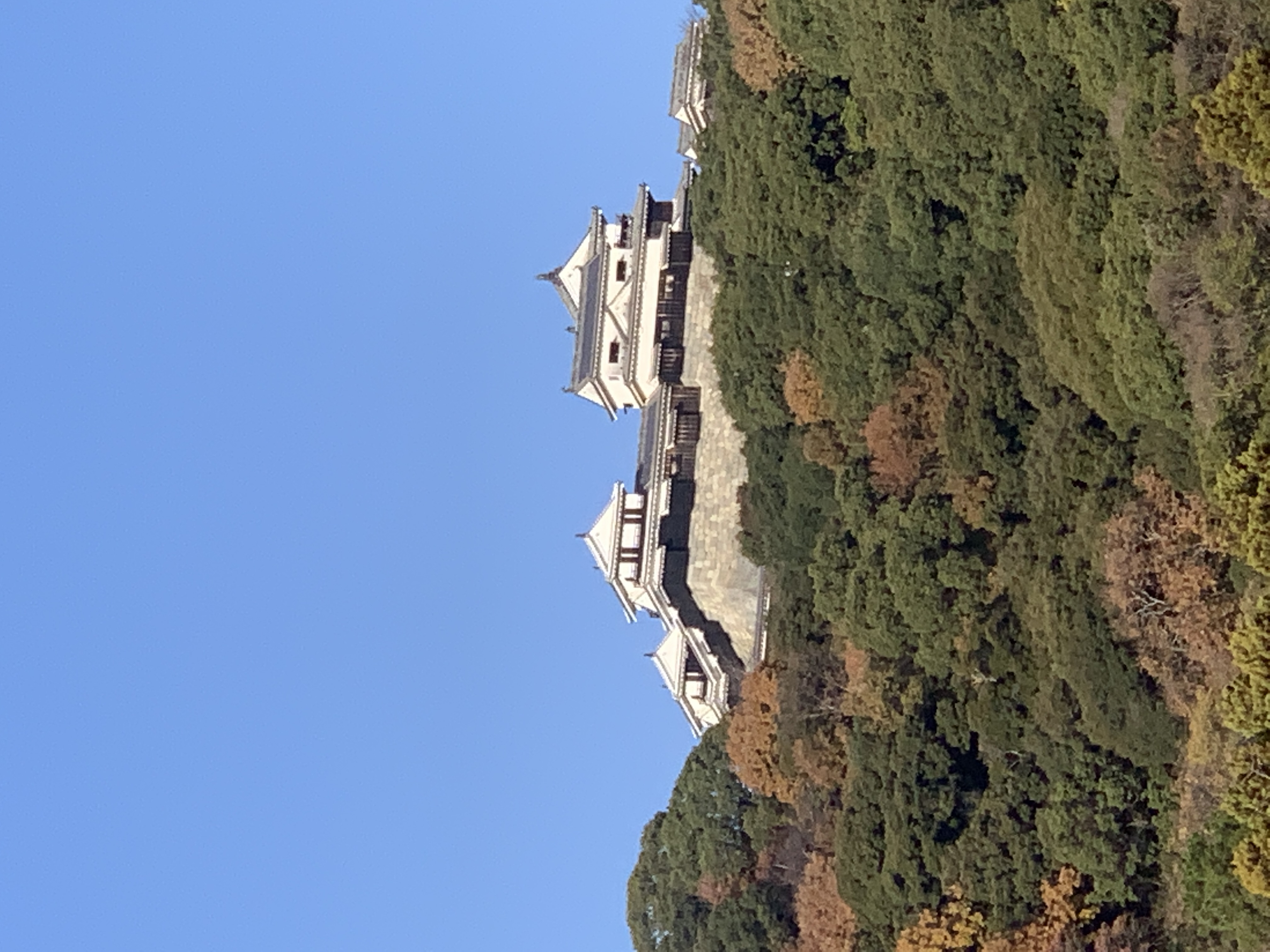 Matsuyama Generic 1
