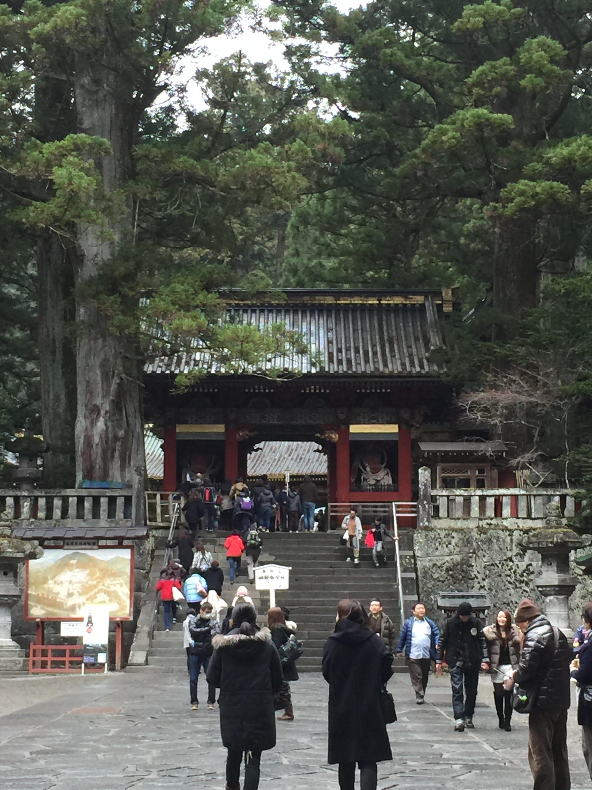 Nikko Main